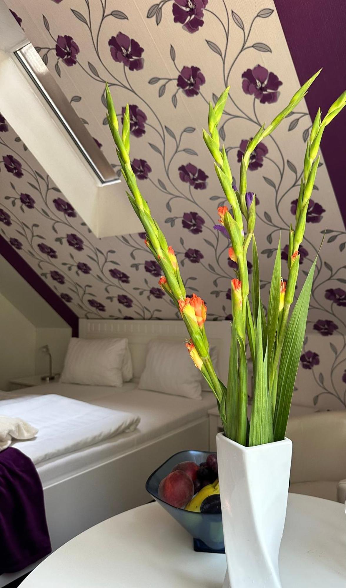 Wellness Penzion Harmonie Rohanov Прахатице Экстерьер фото